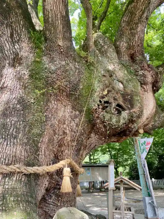 大麻比古神社の自然
