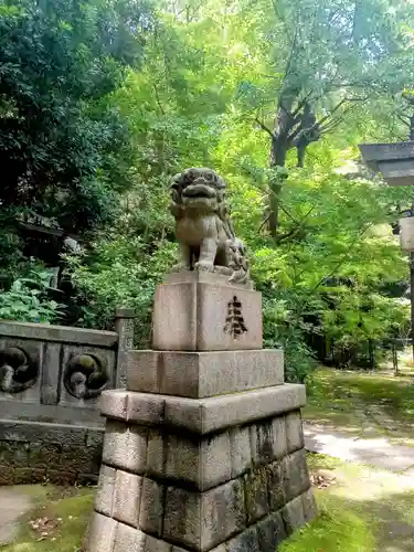 赤坂氷川神社の狛犬