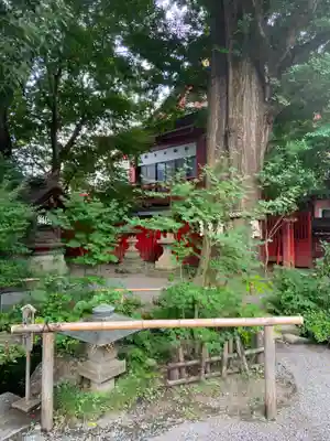 秩父神社のその他建物