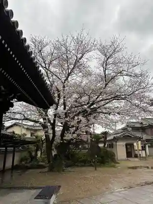 誓福寺(兵庫県)