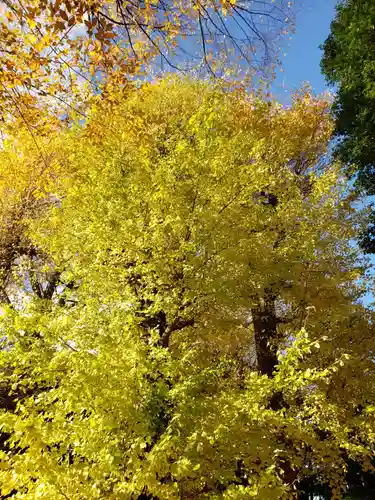 愛宕神社の自然