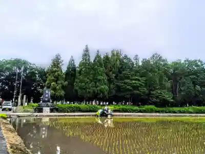 神明社(楽田青塚)の自然