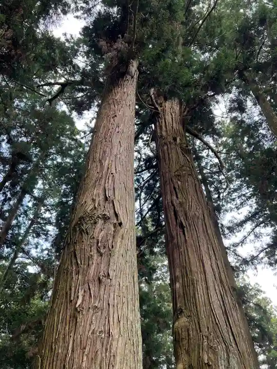 大宮温泉神社(栃木県)