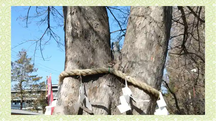 鎮守氷川神社(埼玉県)