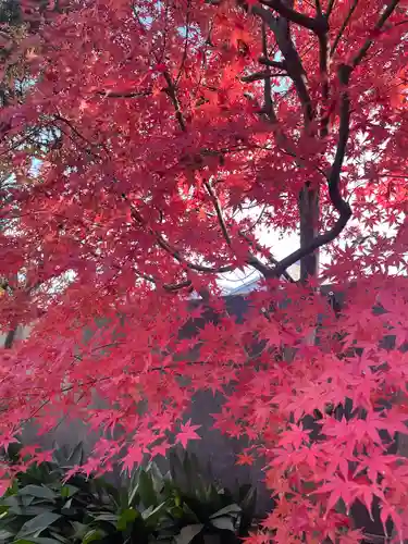 伊勢山皇大神宮(神奈川県)