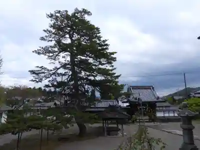 弘誓寺(滋賀県)