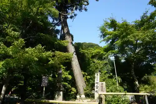 目の霊山　油山寺の自然