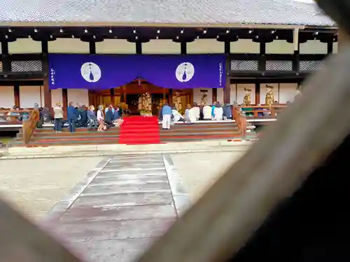 くろ谷 金戒光明寺(京都府)