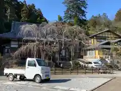 太山寺の自然