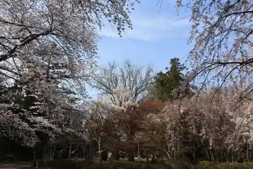 三春大神宮の景色