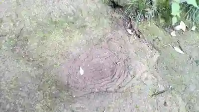 宝城坊(神奈川県)