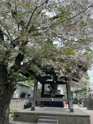 蓮馨寺の{uncategorized: "未分類", other: "その他", undefined: "問題あり", building: "その他建物", grave: "お墓", sacred_gate: "鳥居", guardian: "狛犬", statue: "像", buddha: "仏像", history: "歴史", nature: "自然", garden: "庭園", animal: "動物", pagoda: "塔", temizu: "手水舎", mountain_gate: "山門・神門", sanctuary: "本殿・本堂", subordinate: "末社・摂社", art: "芸術", scenery: "景色", jizo: "地蔵", ema: "絵馬", goshuin: "御朱印", omikuji: "おみくじ", items: "授与品その他", amulet: "お守り", goshuincho: "御朱印帳", eats: "食事", festival: "お祭り", votive_dance: "神楽", shichigosan: "七五三参", wedding: "結婚式", experience: "体験その他", initially: "初詣", around: "周辺", anti_infection: "感染症対策"}