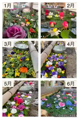 犀川神社の手水舎