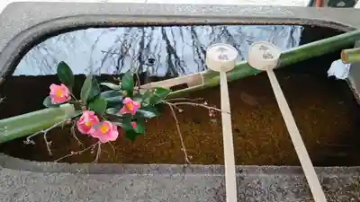 真正極楽寺(真如堂)の手水舎