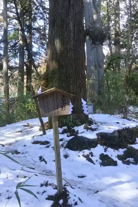 本宮神社(日光二荒山神社別宮)の自然