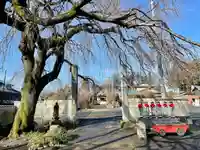 台林寺(栃木県)