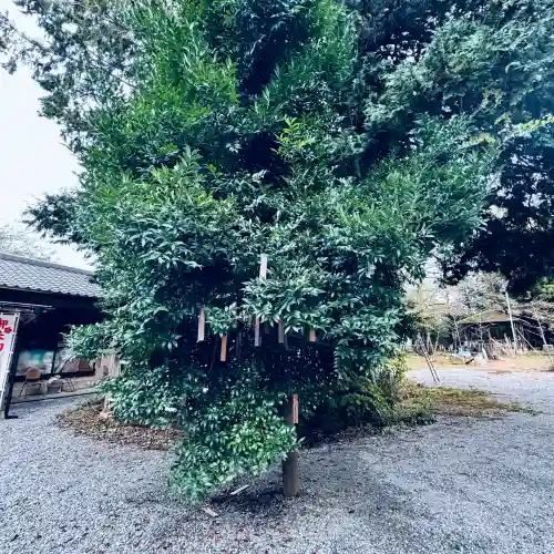 東沼神社(埼玉県)