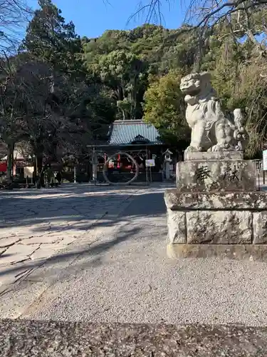 伊豆山神社の狛犬