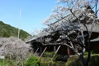 毘沙門堂門跡(京都府)