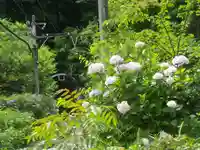 御霊神社の周辺