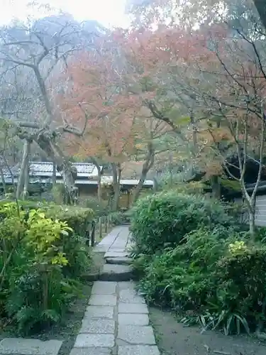 瑞泉寺の庭園