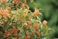 滑川神社 - 仕事と子どもの守り神の自然