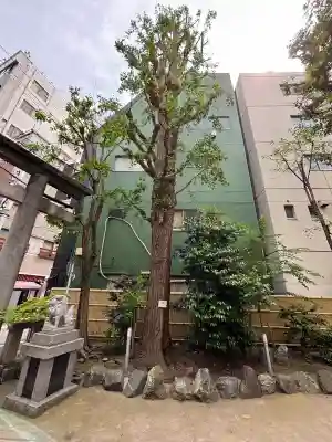 銀杏岡八幡神社(東京都)