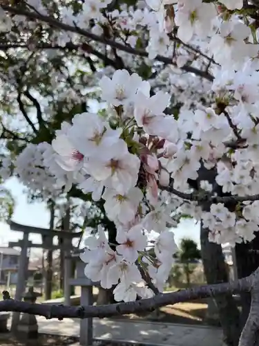 口里大歳神社(兵庫県)