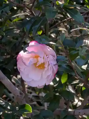 圓照寺(東京都)