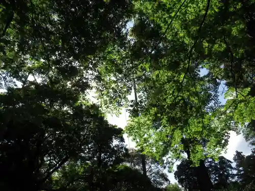 東蕗田天満社の自然