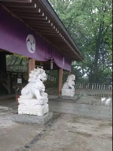 唐澤山神社の狛犬