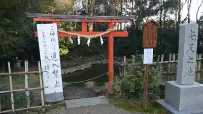 鷲宮神社の鳥居