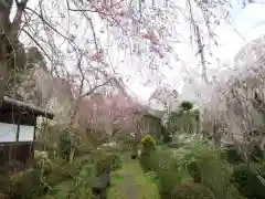 大野寺の庭園