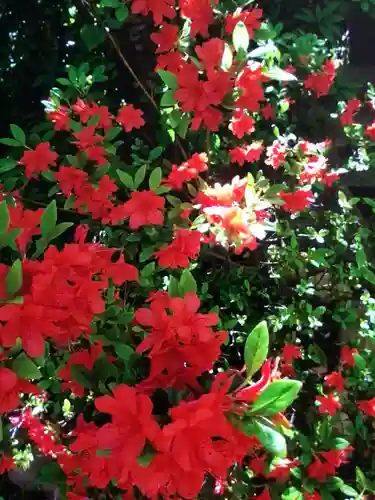 小野照崎神社(東京都)