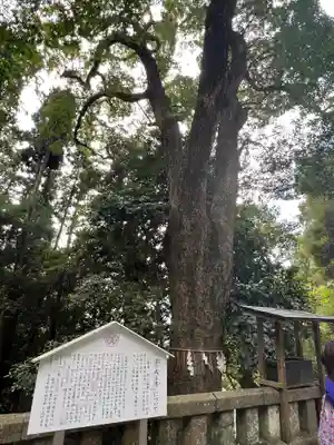 久能山東照宮(静岡県)