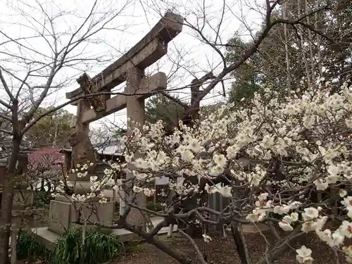 道明寺天満宮の鳥居