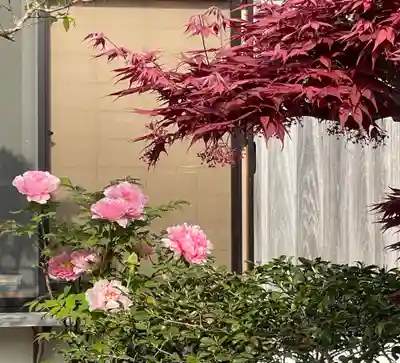 梅香寺(三重県)