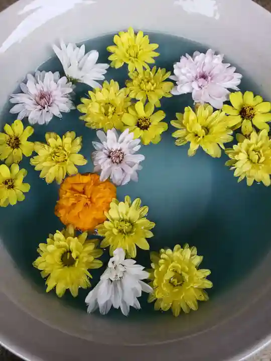 白金氷川神社(東京都)