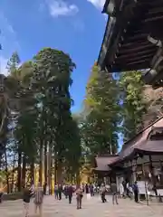 戸隠神社中社(長野県)