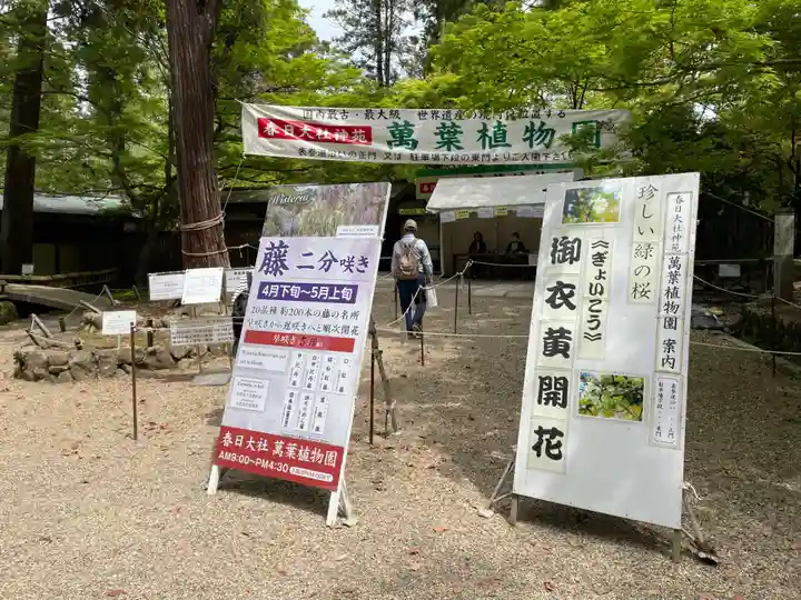 歌泉堂(春日大社神苑萬葉植物園内鎮座)(奈良県)