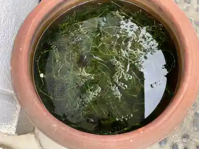 奈加美神社(大阪府)