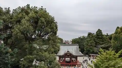 鶴岡八幡宮の景色