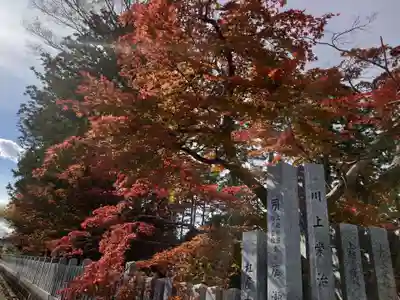 日枝神社(新潟県)
