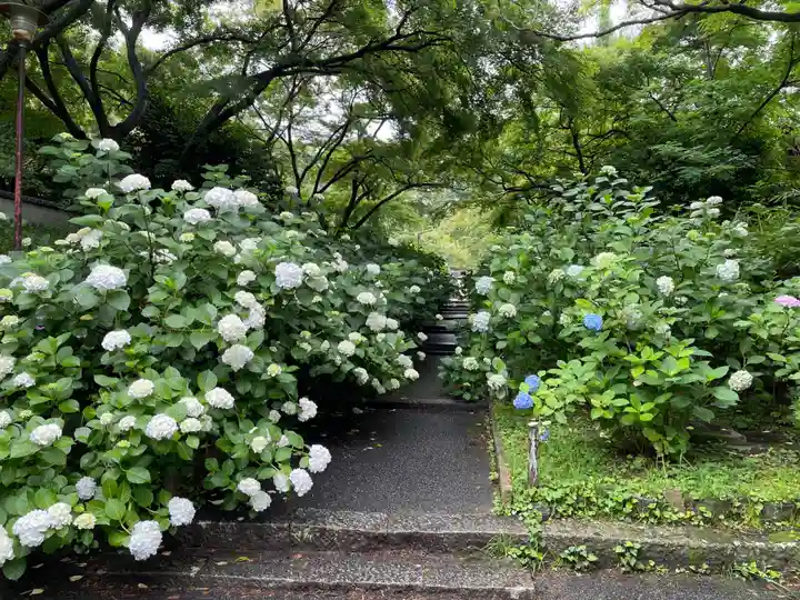 久安寺(大阪府)