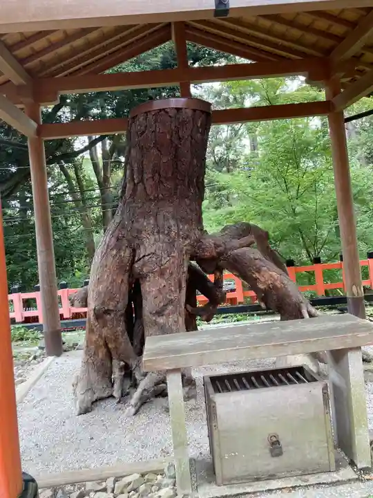 伏見稲荷大社の自然