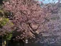 龍口寺の{uncategorized: "未分類", other: "その他", undefined: "問題あり", building: "その他建物", grave: "お墓", sacred_gate: "鳥居", guardian: "狛犬", statue: "像", buddha: "仏像", history: "歴史", nature: "自然", garden: "庭園", animal: "動物", pagoda: "塔", temizu: "手水舎", mountain_gate: "山門・神門", sanctuary: "本殿・本堂", subordinate: "末社・摂社", art: "芸術", scenery: "景色", jizo: "地蔵", ema: "絵馬", goshuin: "御朱印", omikuji: "おみくじ", items: "授与品その他", amulet: "お守り", goshuincho: "御朱印帳", eats: "食事", festival: "お祭り", votive_dance: "神楽", shichigosan: "七五三参", wedding: "結婚式", experience: "体験その他", initially: "初詣", around: "周辺", anti_infection: "感染症対策"}