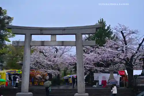 三嶋大社(静岡県)