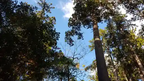 椿大神社の景色