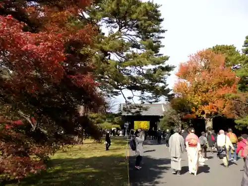 明治神宮(東京都)
