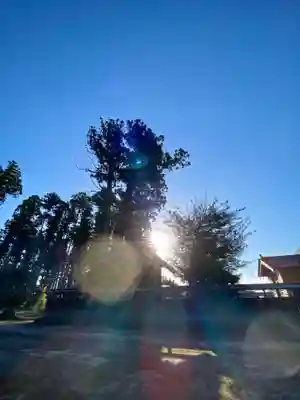 鹿嶋三嶋神社(茨城県)